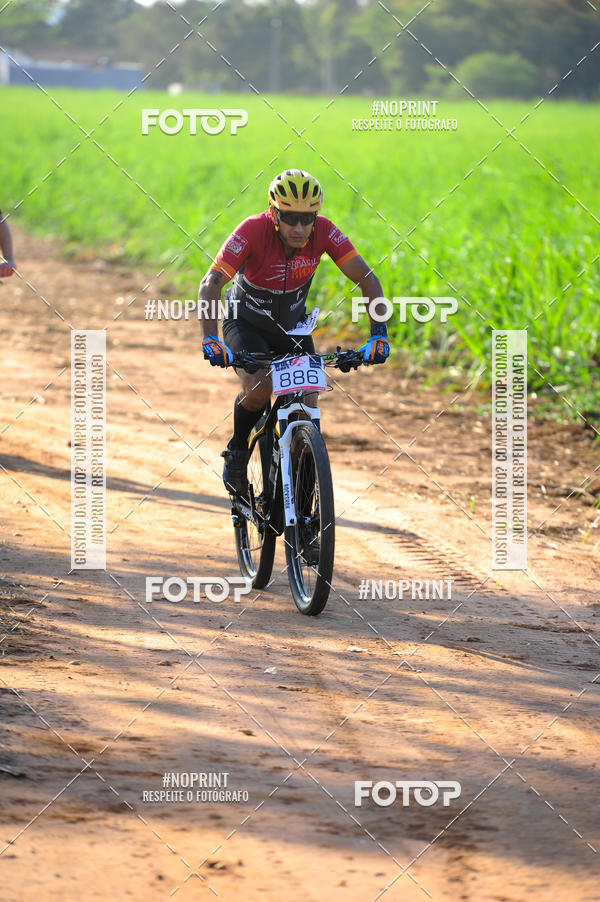 Buy your photos of the eventWolf Series - Botucatu on Fotop