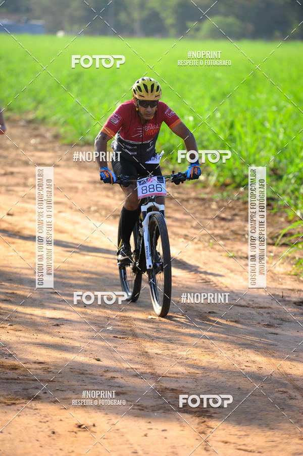 Buy your photos of the eventWolf Series - Botucatu on Fotop