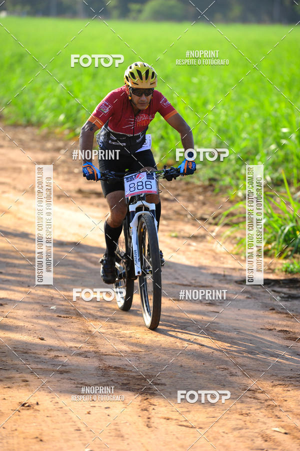 Buy your photos of the eventWolf Series - Botucatu on Fotop