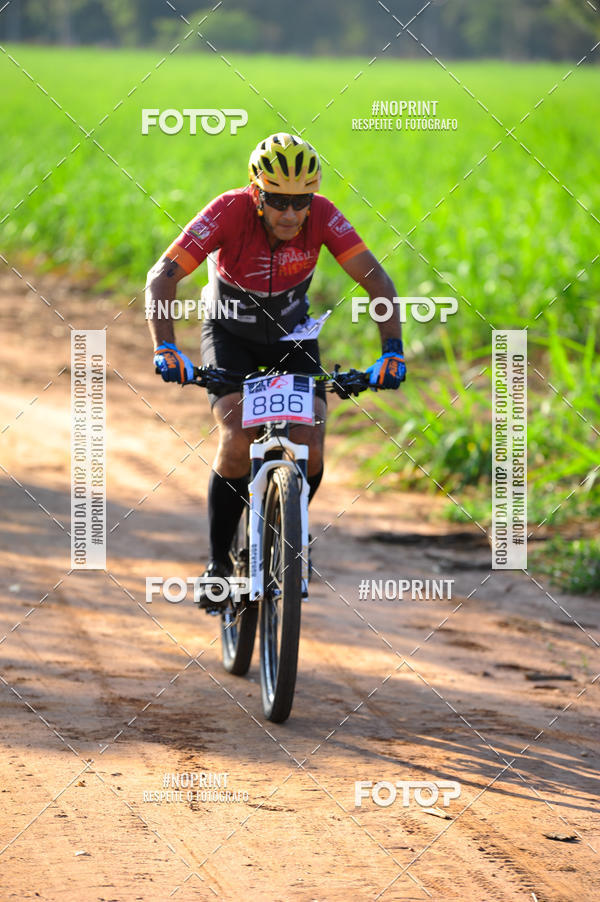 Buy your photos of the eventWolf Series - Botucatu on Fotop