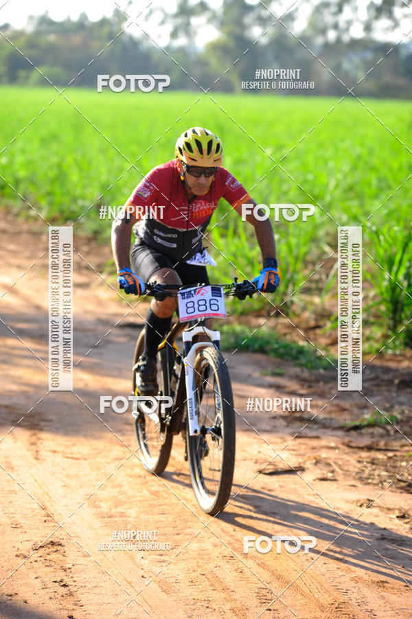 Buy your photos of the eventWolf Series - Botucatu on Fotop