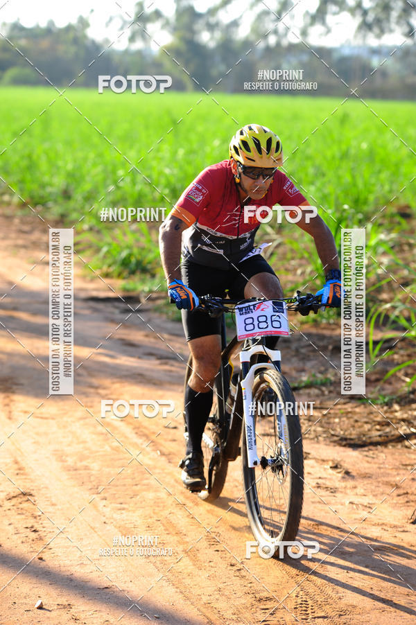 Buy your photos of the eventWolf Series - Botucatu on Fotop
