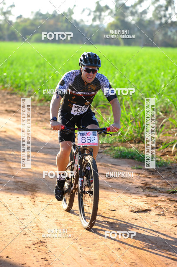 Buy your photos of the eventWolf Series - Botucatu on Fotop