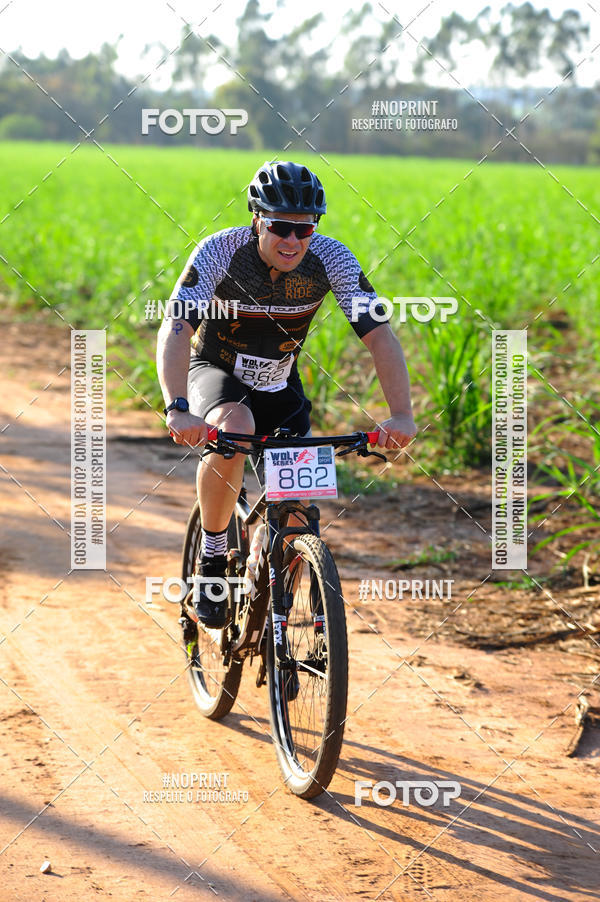 Buy your photos of the eventWolf Series - Botucatu on Fotop