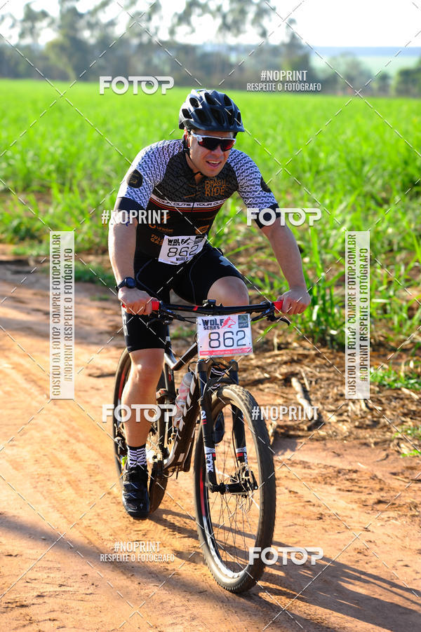 Buy your photos of the eventWolf Series - Botucatu on Fotop