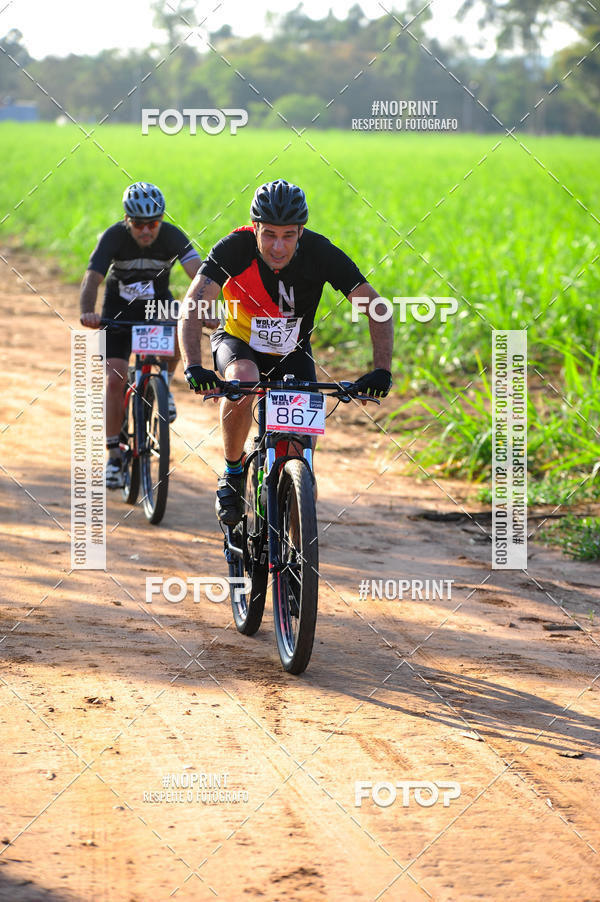 Buy your photos of the eventWolf Series - Botucatu on Fotop