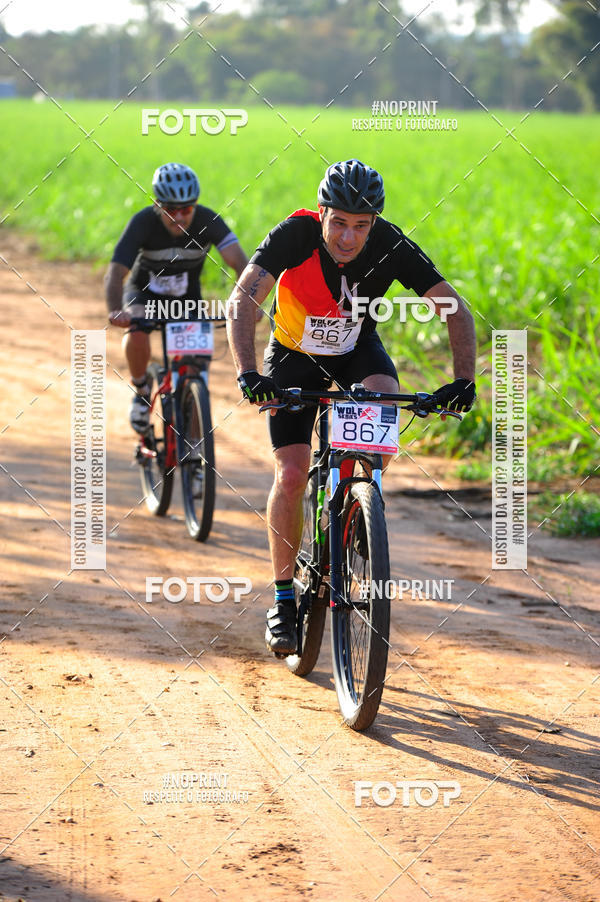 Buy your photos of the eventWolf Series - Botucatu on Fotop