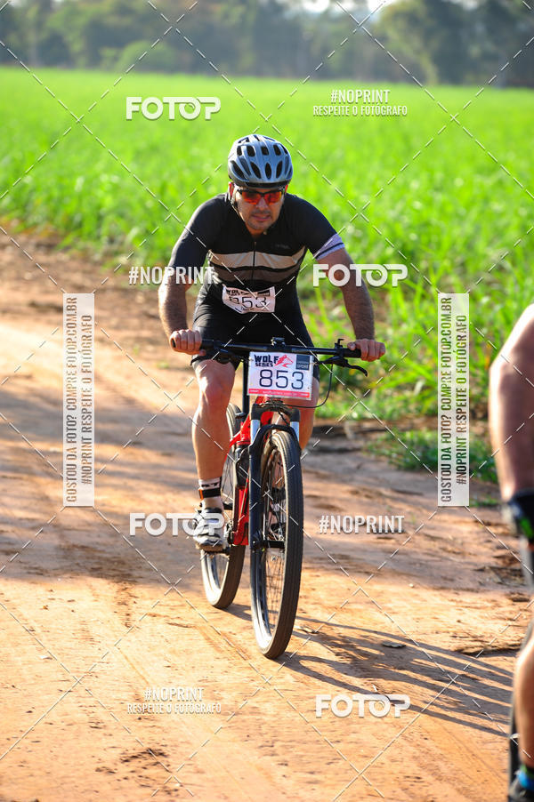 Buy your photos of the eventWolf Series - Botucatu on Fotop