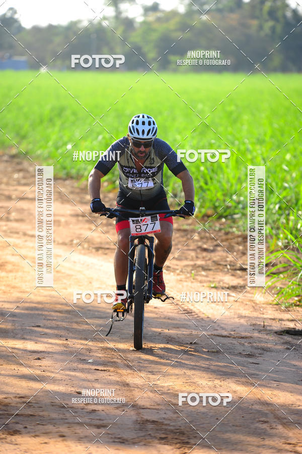 Buy your photos of the eventWolf Series - Botucatu on Fotop