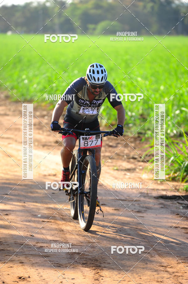 Buy your photos of the eventWolf Series - Botucatu on Fotop