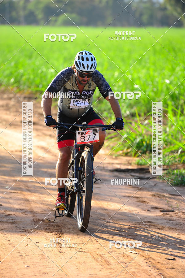 Buy your photos of the eventWolf Series - Botucatu on Fotop