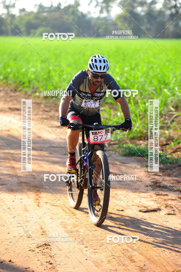 Buy your photos of the eventWolf Series - Botucatu on Fotop