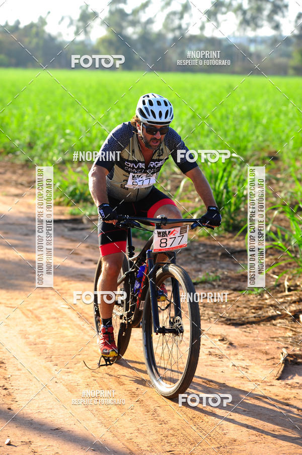 Buy your photos of the eventWolf Series - Botucatu on Fotop