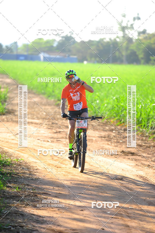 Buy your photos of the eventWolf Series - Botucatu on Fotop