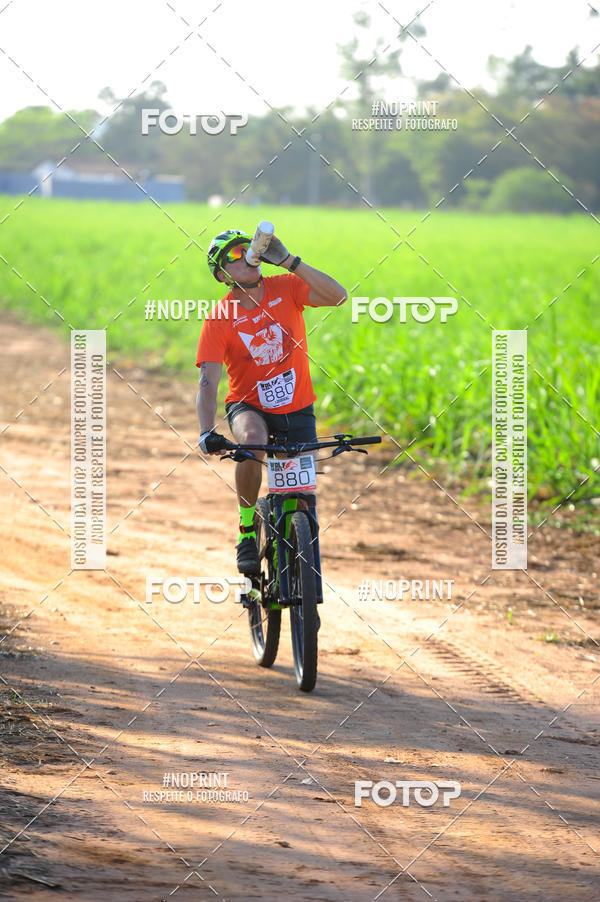 Buy your photos of the eventWolf Series - Botucatu on Fotop