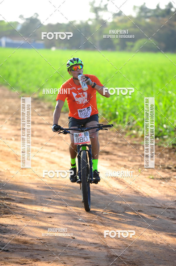 Buy your photos of the eventWolf Series - Botucatu on Fotop