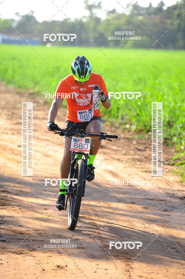 Buy your photos of the eventWolf Series - Botucatu on Fotop