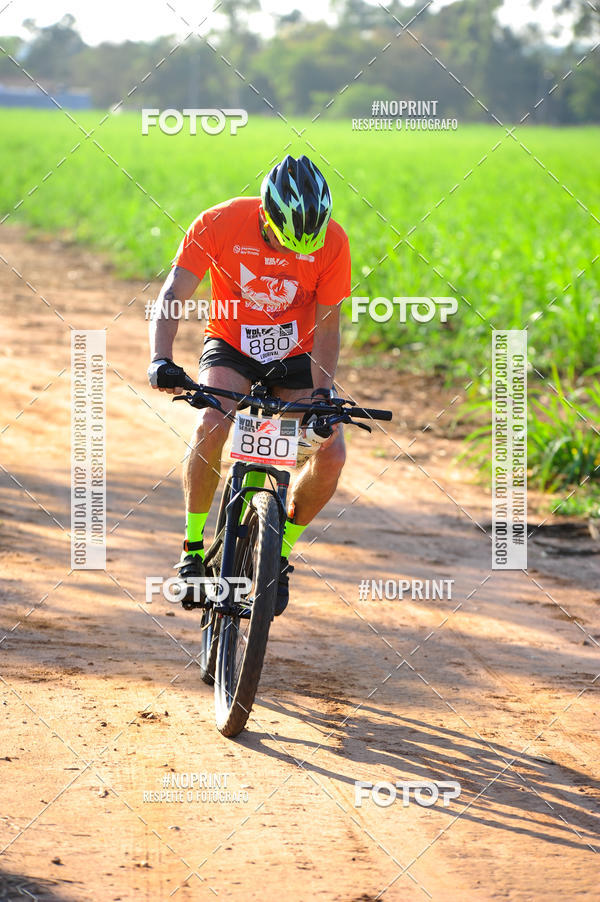 Buy your photos of the eventWolf Series - Botucatu on Fotop