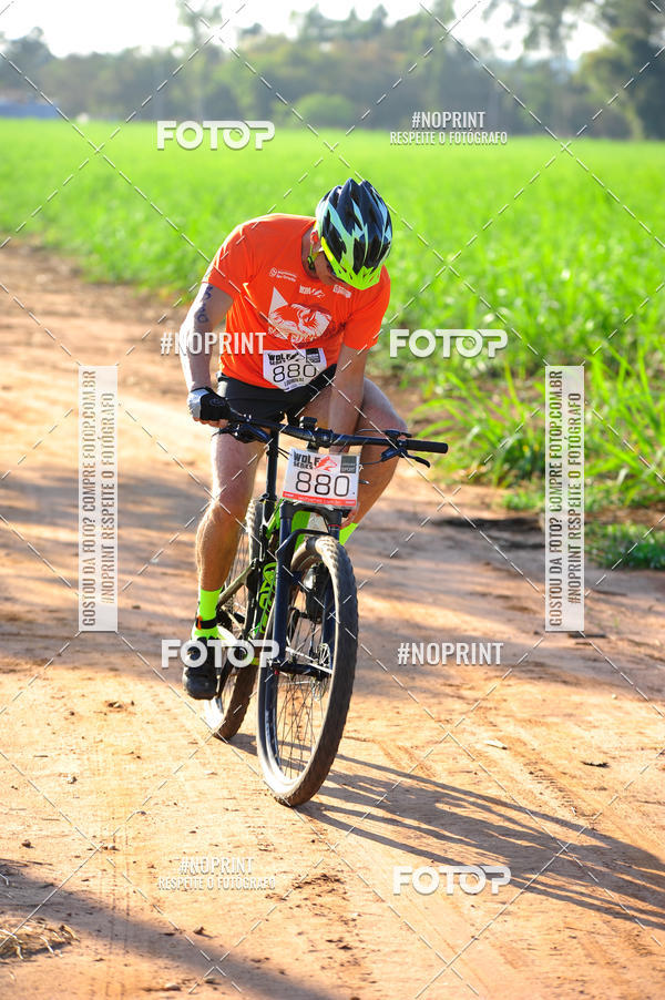 Buy your photos of the eventWolf Series - Botucatu on Fotop