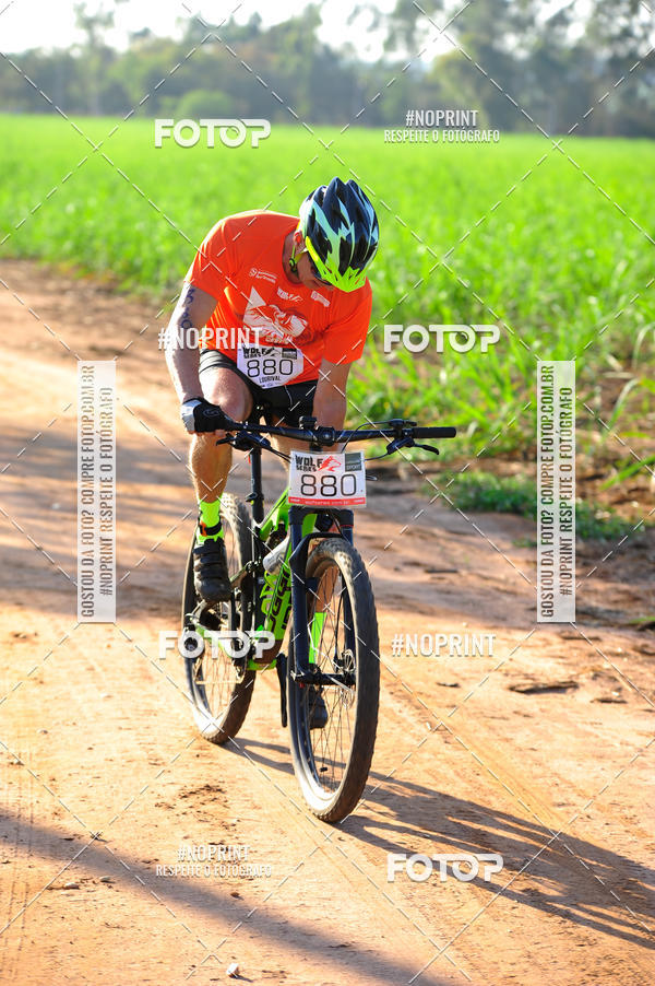 Buy your photos of the eventWolf Series - Botucatu on Fotop