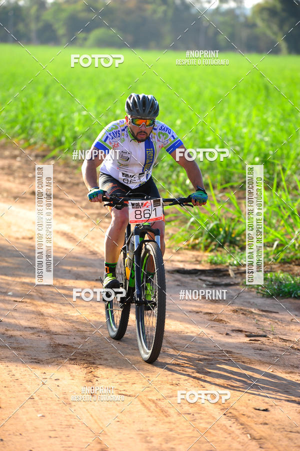 Buy your photos of the eventWolf Series - Botucatu on Fotop