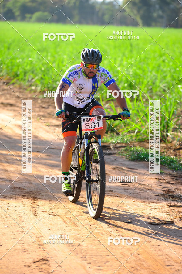 Buy your photos of the eventWolf Series - Botucatu on Fotop