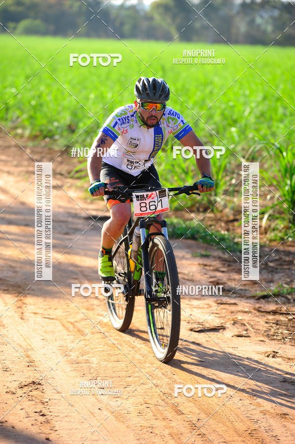 Buy your photos of the eventWolf Series - Botucatu on Fotop