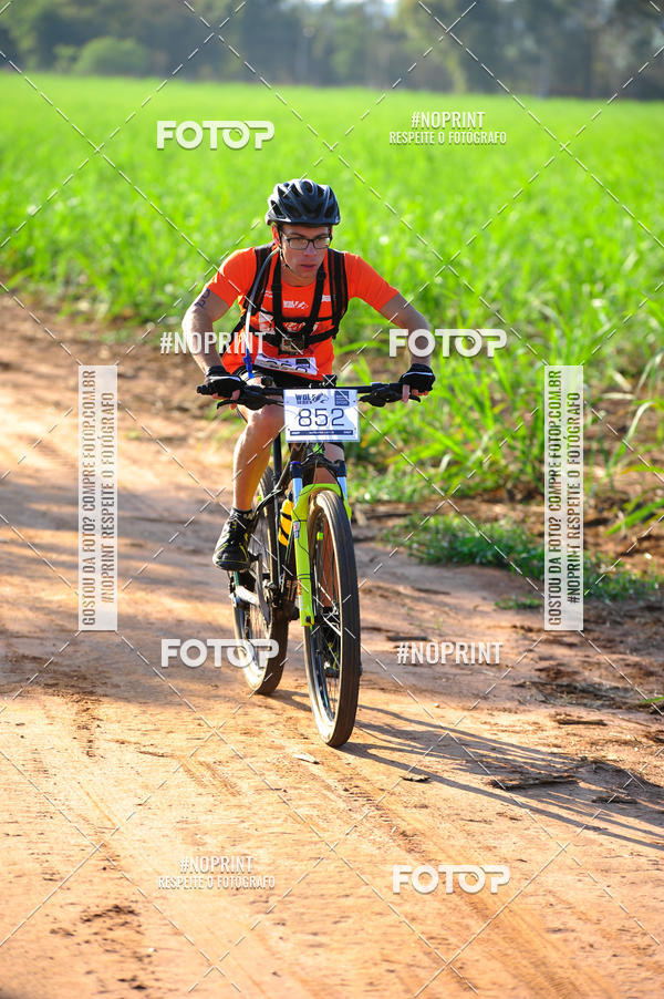 Buy your photos of the eventWolf Series - Botucatu on Fotop