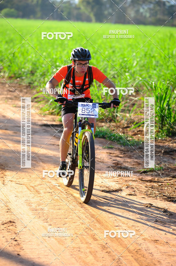 Buy your photos of the eventWolf Series - Botucatu on Fotop