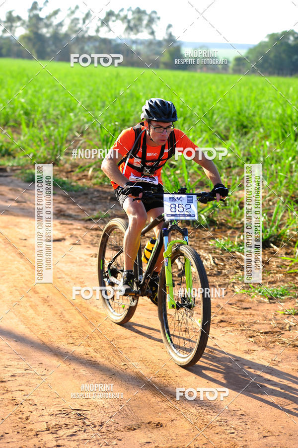 Buy your photos of the eventWolf Series - Botucatu on Fotop