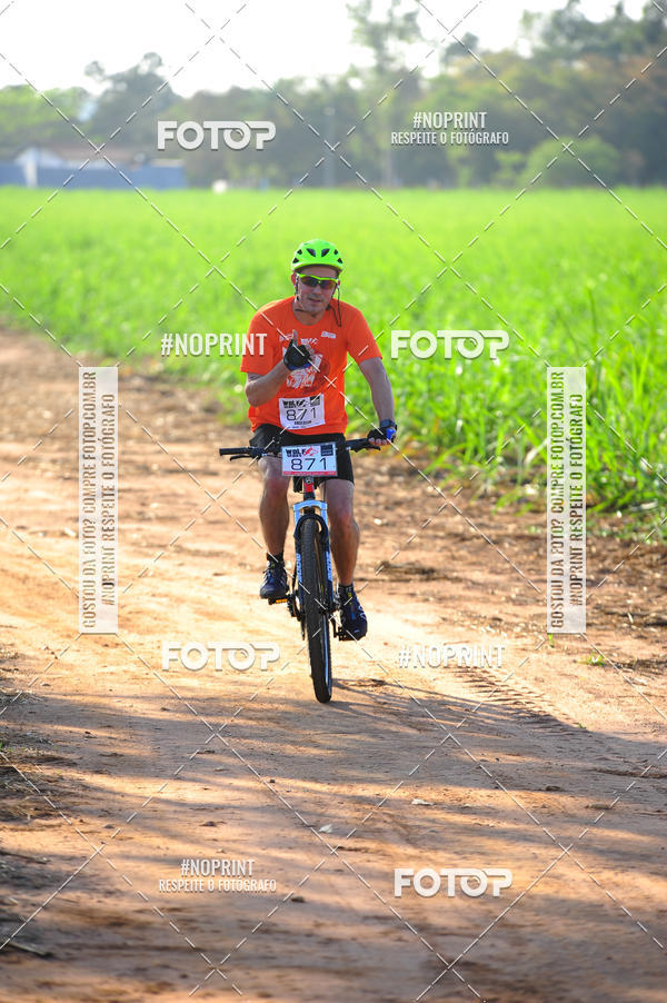 Buy your photos of the eventWolf Series - Botucatu on Fotop