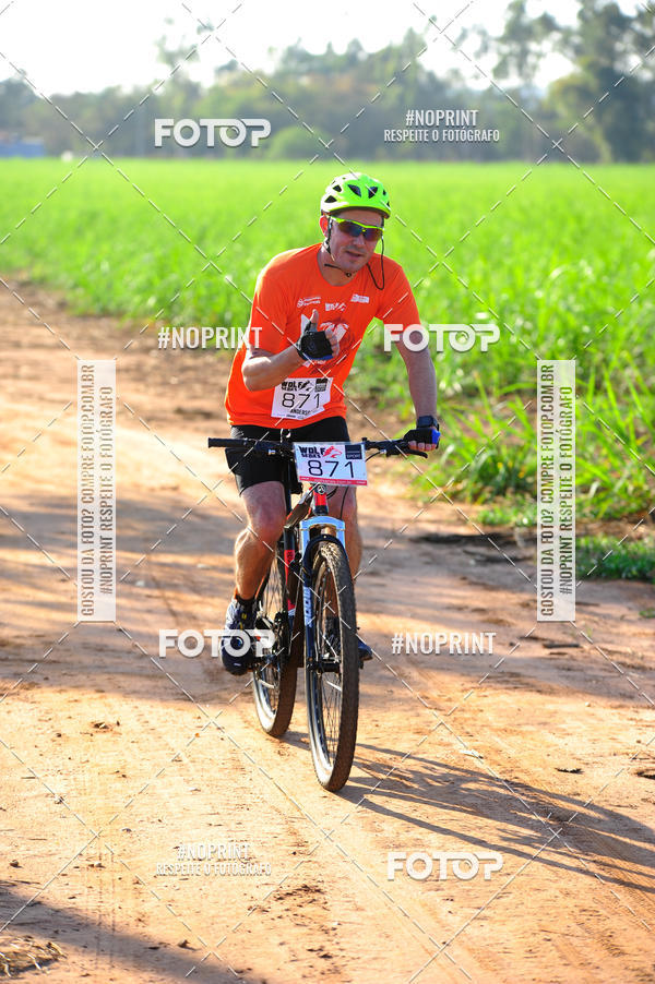 Buy your photos of the eventWolf Series - Botucatu on Fotop