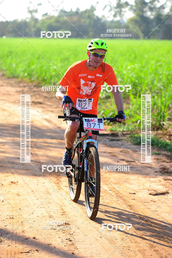 Buy your photos of the eventWolf Series - Botucatu on Fotop