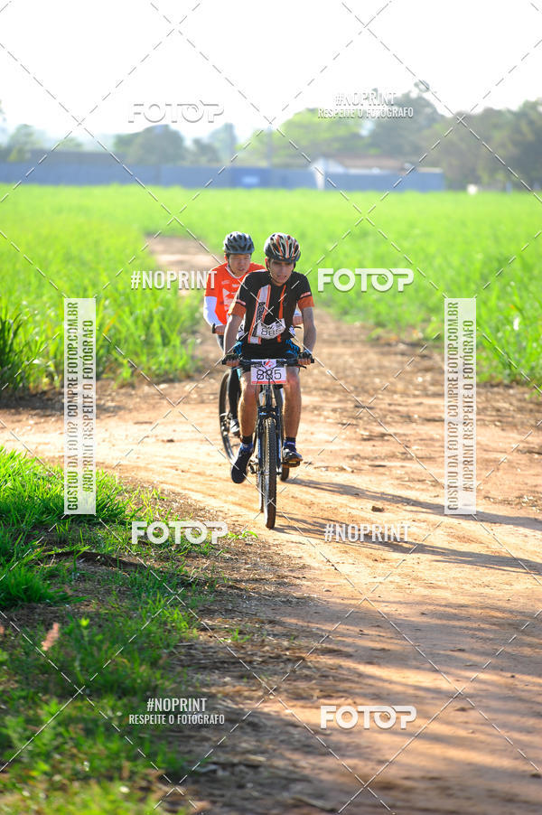 Buy your photos of the eventWolf Series - Botucatu on Fotop