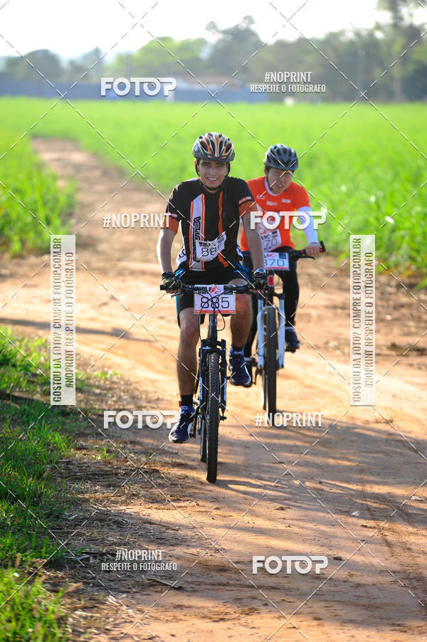 Buy your photos of the eventWolf Series - Botucatu on Fotop