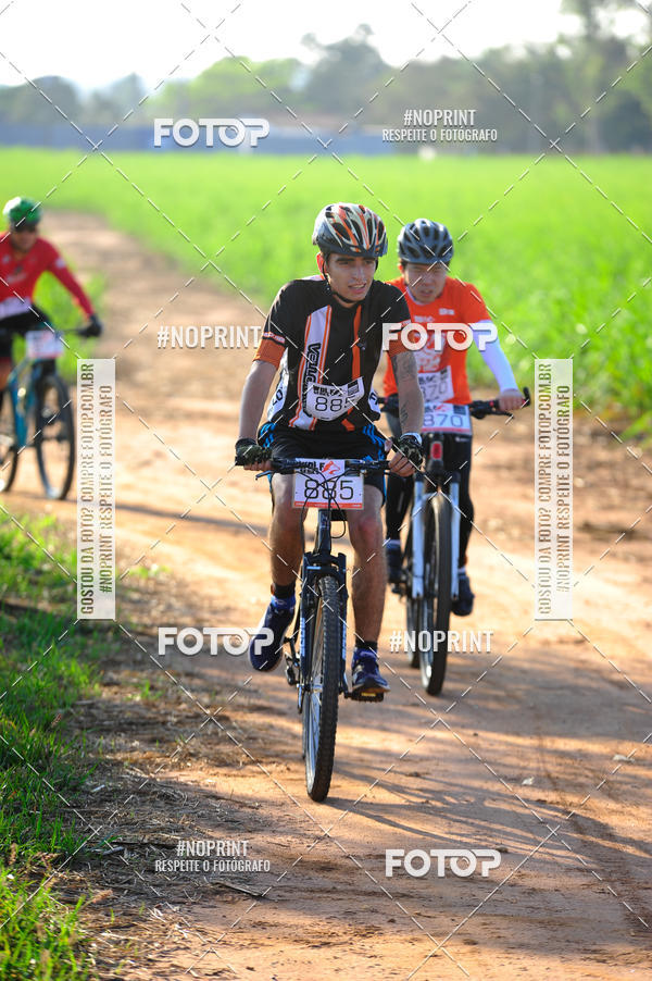 Buy your photos of the eventWolf Series - Botucatu on Fotop