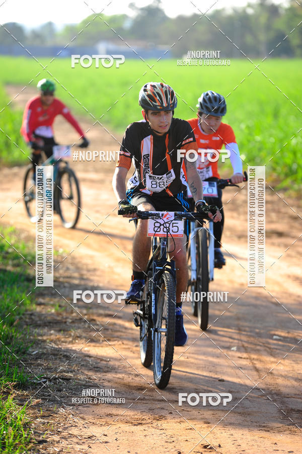 Buy your photos of the eventWolf Series - Botucatu on Fotop