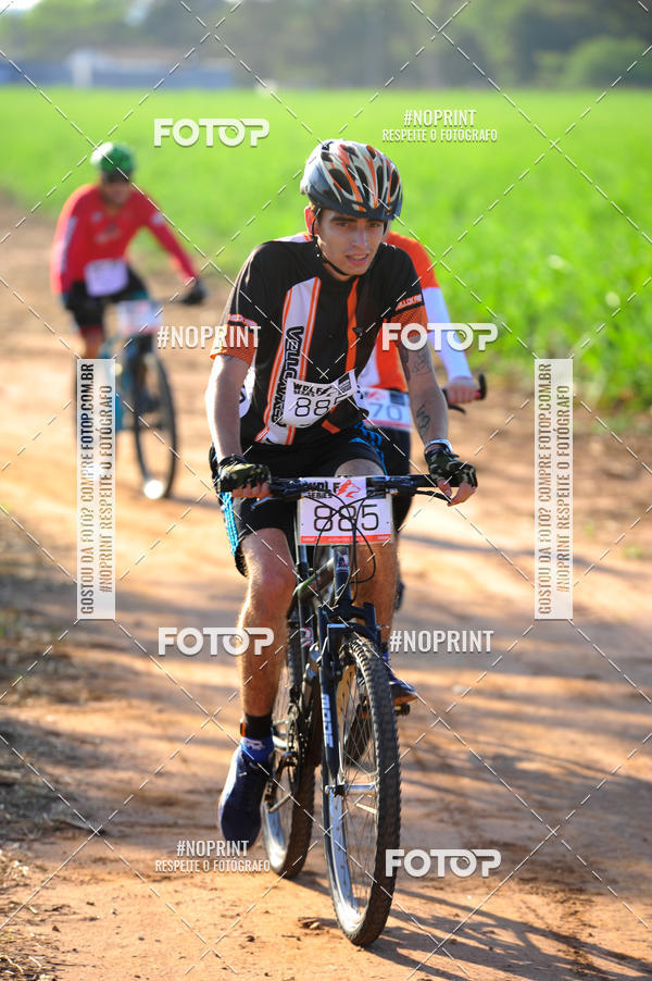 Buy your photos of the eventWolf Series - Botucatu on Fotop