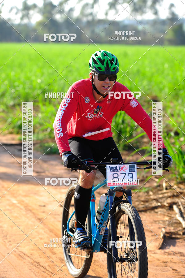 Buy your photos of the eventWolf Series - Botucatu on Fotop