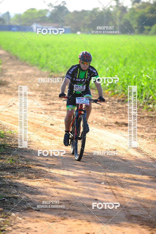 Buy your photos of the eventWolf Series - Botucatu on Fotop