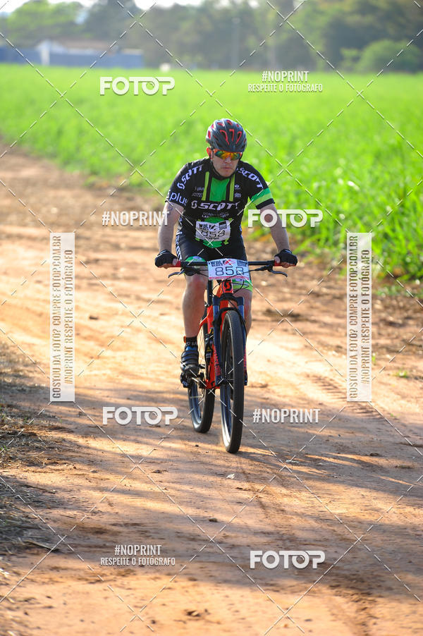 Buy your photos of the eventWolf Series - Botucatu on Fotop