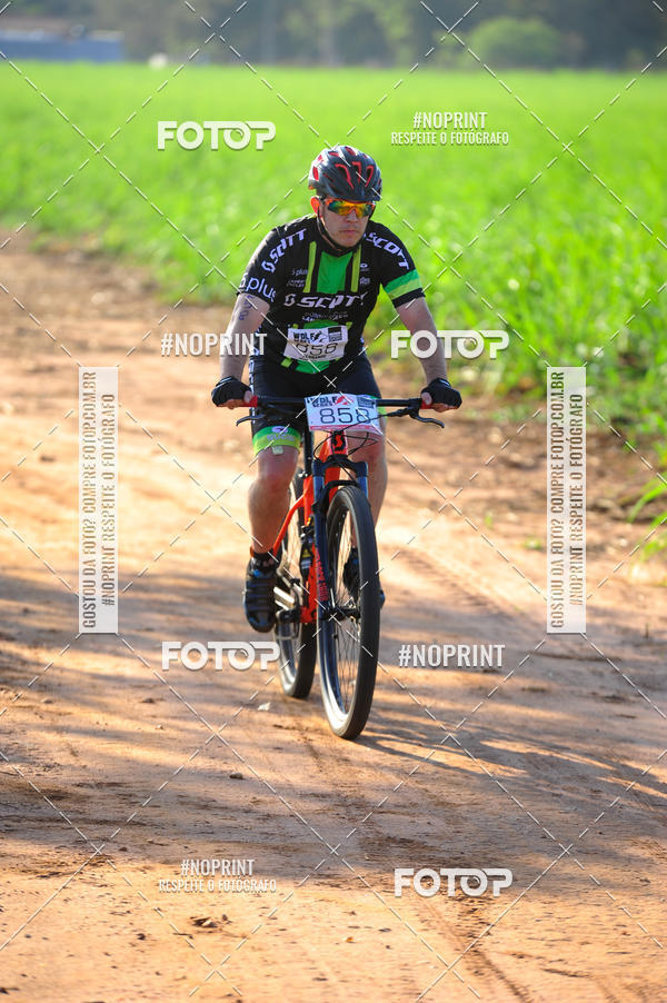 Buy your photos of the eventWolf Series - Botucatu on Fotop