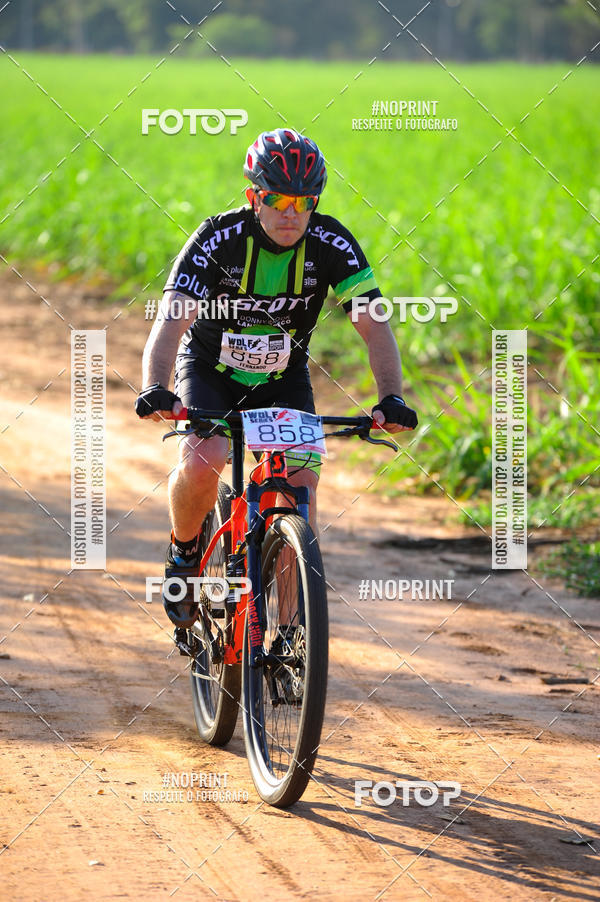 Buy your photos of the eventWolf Series - Botucatu on Fotop