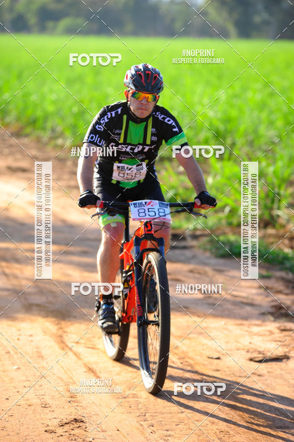 Buy your photos of the eventWolf Series - Botucatu on Fotop
