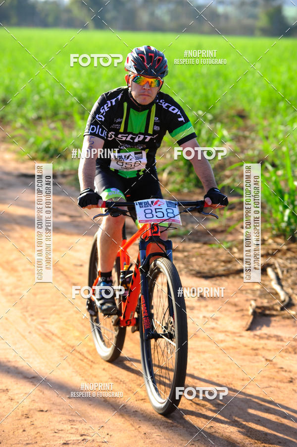 Buy your photos of the eventWolf Series - Botucatu on Fotop