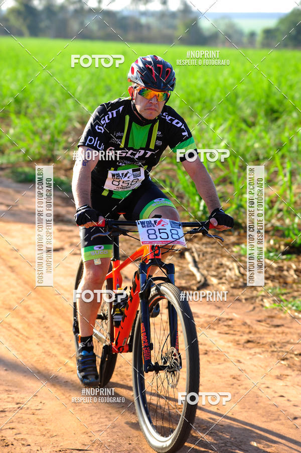 Buy your photos of the eventWolf Series - Botucatu on Fotop