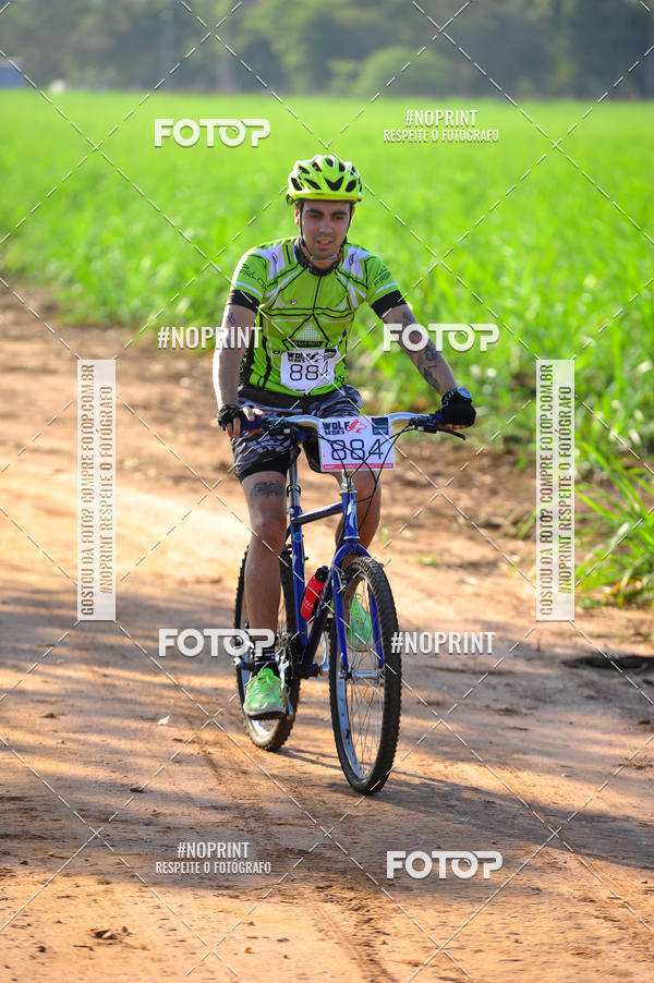 Buy your photos of the eventWolf Series - Botucatu on Fotop