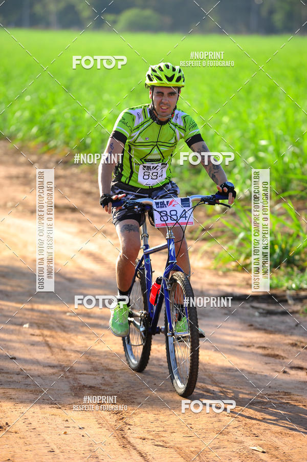 Buy your photos of the eventWolf Series - Botucatu on Fotop