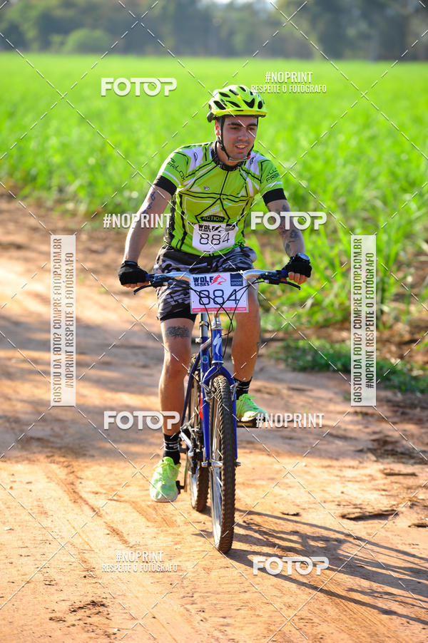 Buy your photos of the eventWolf Series - Botucatu on Fotop