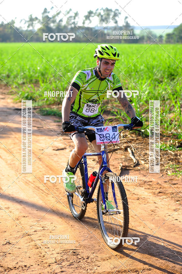 Buy your photos of the eventWolf Series - Botucatu on Fotop